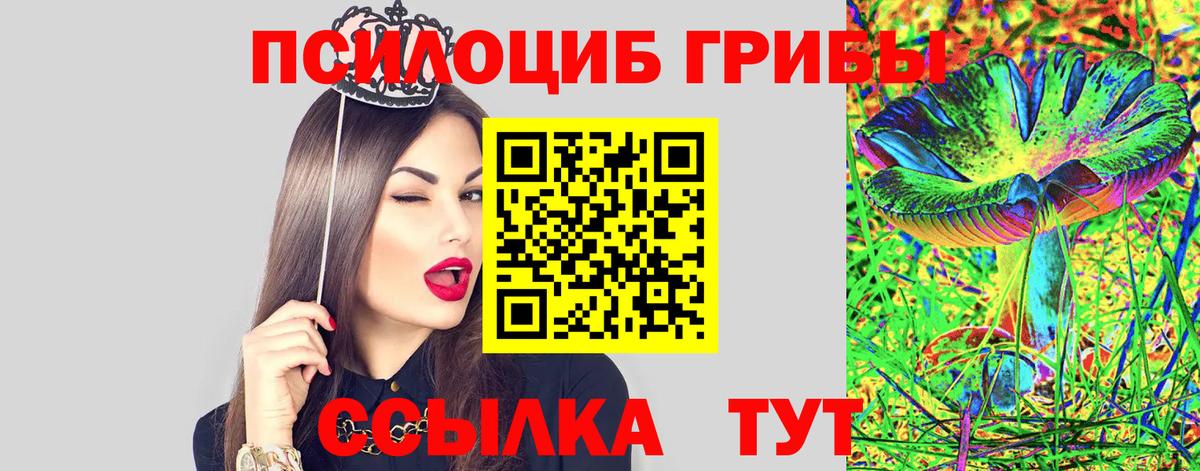 Лангепас  сколько стоит  Вход с VPN  Псилоцибиновые грибы мицелий 